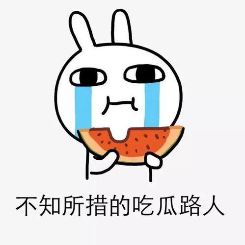 自己可以吃瓜吗,那些我们“可以吃瓜”的幕后故事