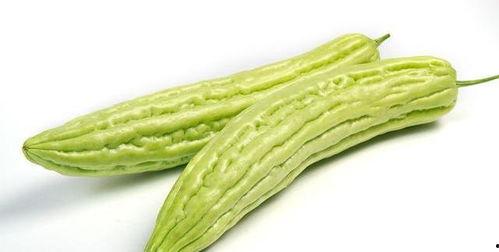 吃瓜苦瓜还是甜瓜,揭秘苦瓜与甜瓜的甜蜜对决