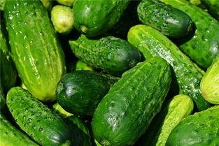 梦见和逝去的人一起吃瓜,与逝者共度的瓜香时光