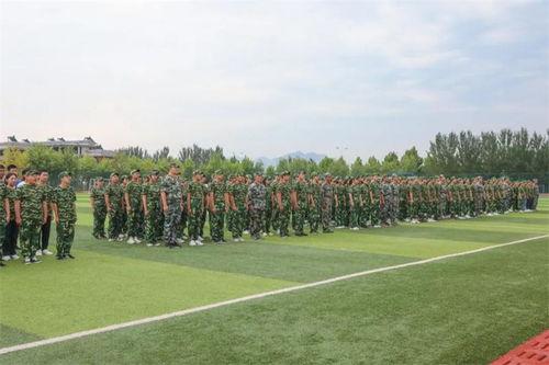 烟台职校吃瓜,揭秘校园生活趣闻