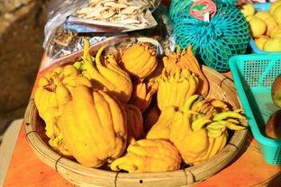 腾冲边境吃瓜,腾冲边境的瓜果飘香之旅