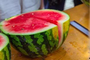 带你吃瓜学生作业,带你走进“吃瓜”学生的作业世界