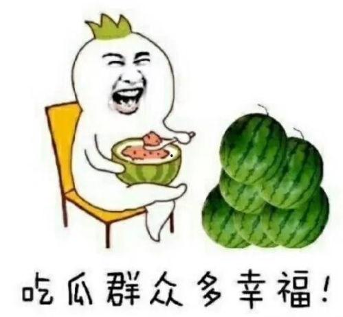 乖瓜咋吃,从挑选到烹饪，一网打尽