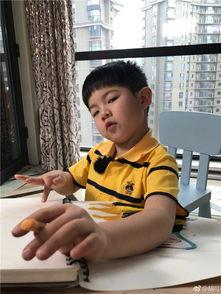 安吉县吃瓜,瓜果飘香，品味田园生活