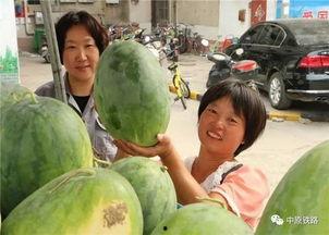 回家路吃瓜网,揭秘娱乐圈幕后故事，带你走进明星真实生活