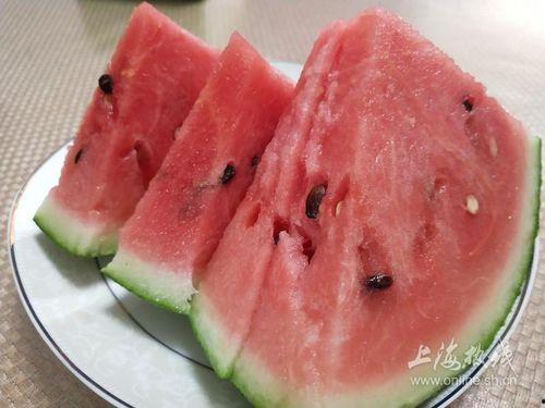 南汇吃瓜,探寻瓜农的甜蜜生活