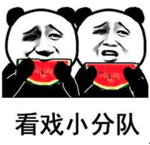 贝壳吃瓜表情包,网络新宠，趣味横生