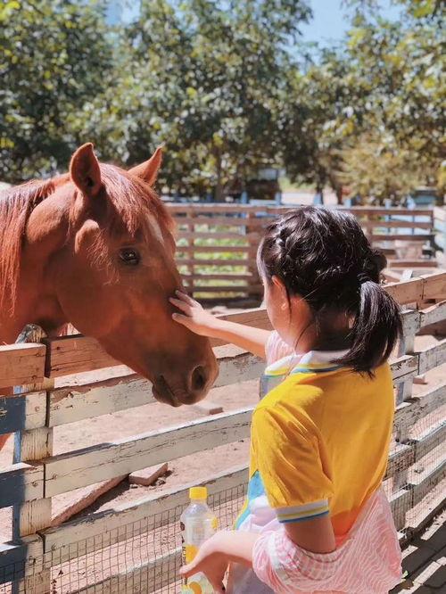 吃瓜的白牛,揭秘娱乐圈背后的那些事儿