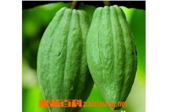 乳瓜可以和什么一起吃,营养美味两不误