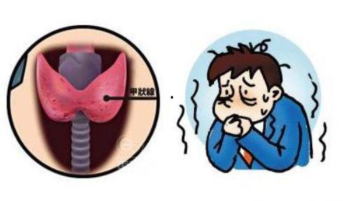 甲亢吃角瓜好吗,角瓜的营养与益处解析