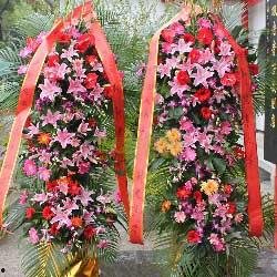 保定吃瓜花店,品味生活，尽享花语时光