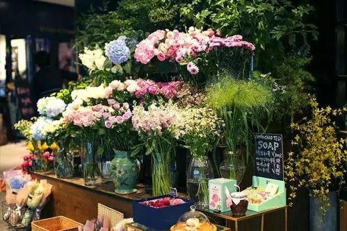 保定吃瓜花店,品味生活，尽享花语时光