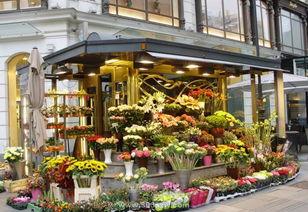 保定吃瓜花店,品味生活，尽享花语时光