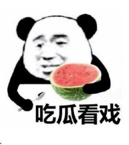 雪中悍刀行吃瓜表情包