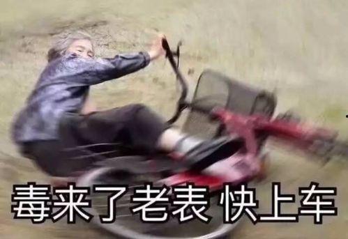 雪中悍刀行吃瓜表情包