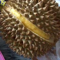 大仑吃瓜视频,揭秘娱乐圈幕后故事  第3张